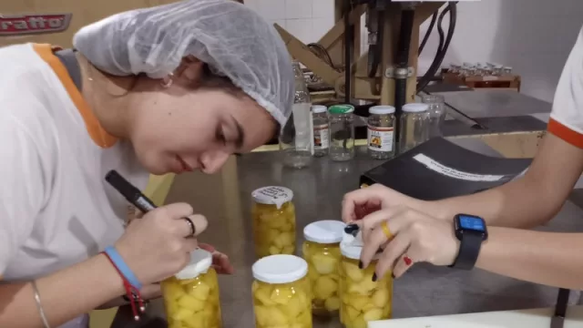 EFA (de Colonia Caroya) logró triplicar su producción en el 2023 (y proyecta crecer con nuevos mercados y productos)