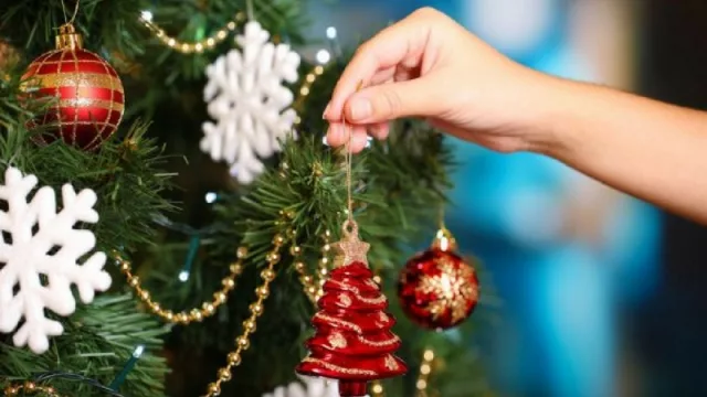 Resultados de encuesta