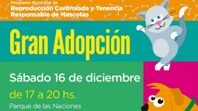 La Muni te invita a adoptar una mascota en Navidad