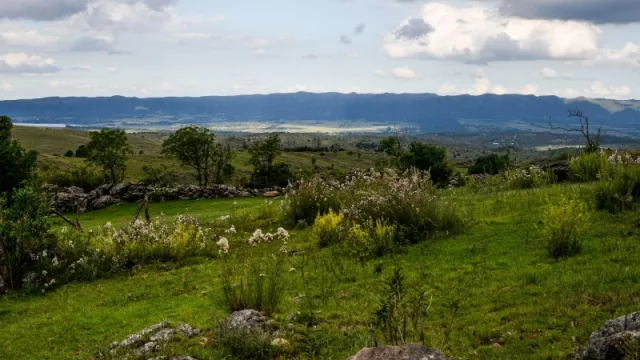 “Cabañero Light”, el proyecto de Montado en Potrero de Garay (con un recupero de la inversión a 10 años)