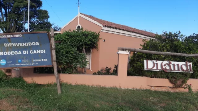 Una casona de siglo y medio, un viñedo, vino artesanal y mucha historia de Colonia Caroya (así es Experiencia Bodega Di Candi)