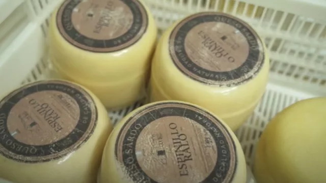 Espinillo Ralo: un emprendimiento que fusiona la tradición lechera con la innovación en la producción de quesos