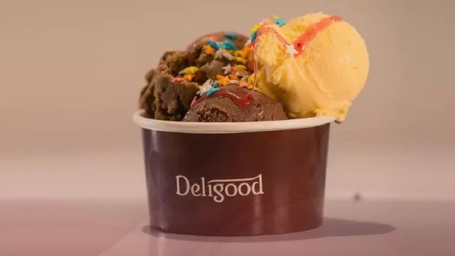 ¡Hay paliiito, bombón, helado!!! Deligood, la marca que produce más de 45 sabores de helado sin TACC, comienza a expandirse (cuánto cuesta una franquicia)