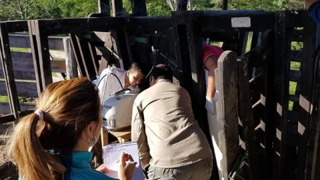 La Universidad Nacional del Nordeste aprobó la nómina de 74 proyectos de investigación