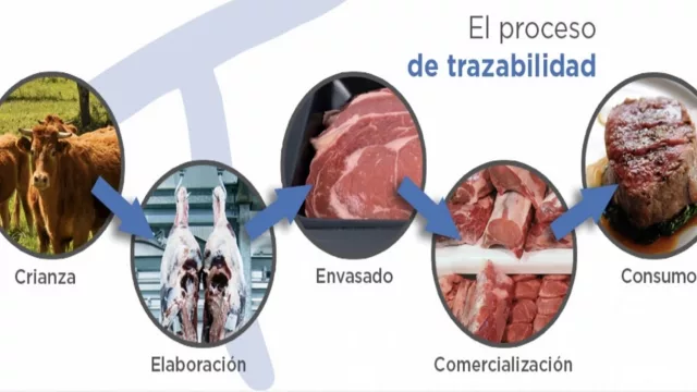 La trazabilidad en la carne, una exigencia de mercados internacionales (y una práctica que garantiza sostenibilidad del negocio argentino)