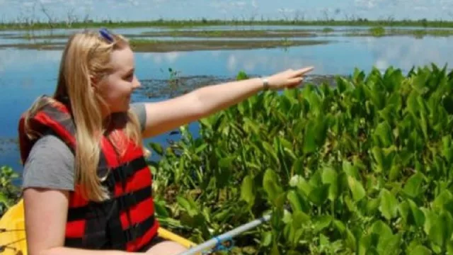 Argentina y su nueva joya: el Corredor Ecoturístico del Litoral