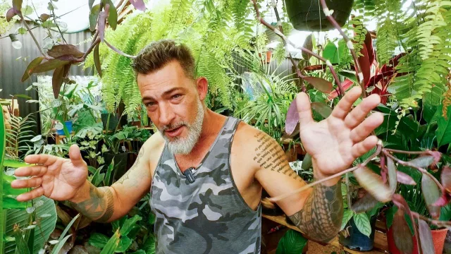 La nueva (buena) vida de Pablo Lencioni: de las tintas y el arte, a tener un vivero con foco en especies exóticas (e influencer de plantas)