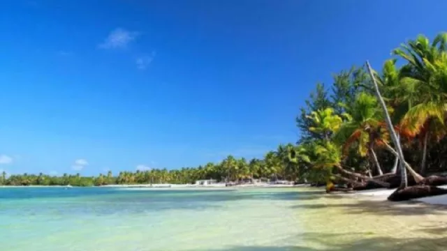 Los tucumanos podrán volar a Florianópolis desde diciembre a través de Avianca