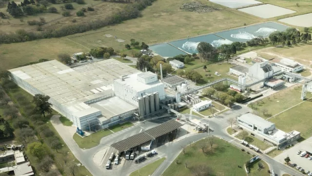 Chin, chin: la planta de Nestlé celebra 70 años en Villa Nueva (donde se producen más de 26.000 toneladas de leche por año)