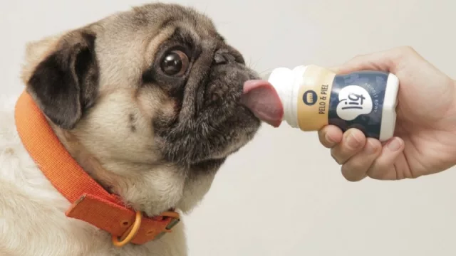 LIQ: un snack líquido para mascotas (¿nace una nueva categoría?)