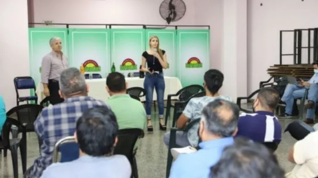 Salta, libre de enfermedades de los cítricos (te contamos qué hacer para seguir así)