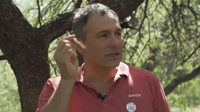 Kasik Sacat: conservando tradiciones ancestrales en Las Maravillas