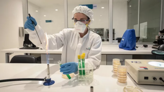 'Savant es una buena oportunidad para el target de talento que busca crecer y que le apasionan los desafíos', resaltan.