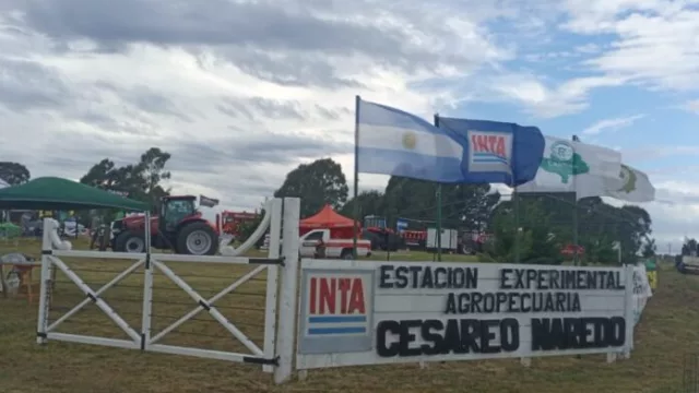 Abril trae consigo “Naredo invita 2024”: muestra anual del Inta en el Sur bonaerense (pastura, impacto tecnológico y genético)