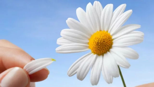 Resultados de Encuesta