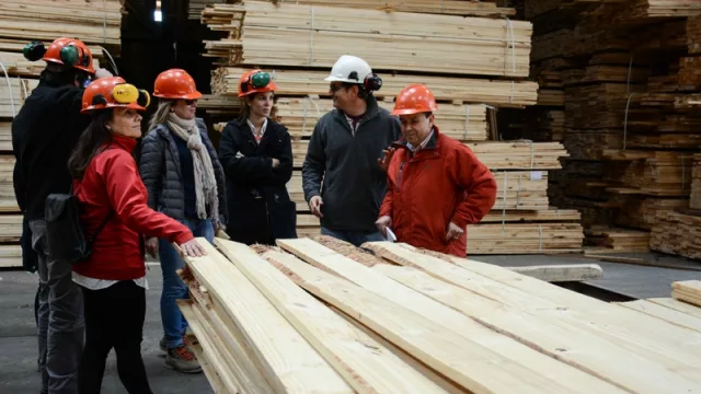 Corrientes y Chile dieron por finalizado el proyecto de cooperación forestoindustrial
