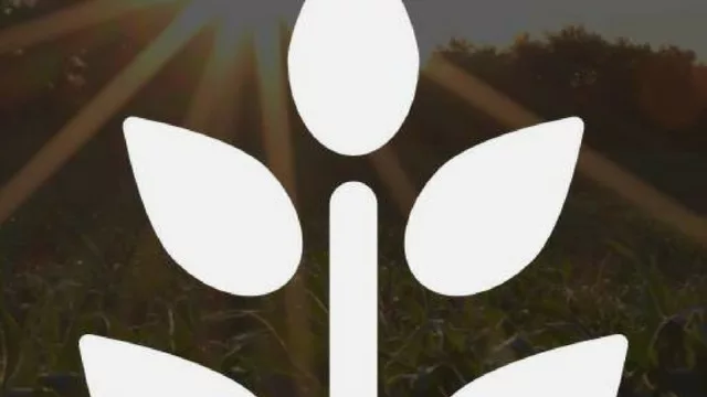 Wuabi ya reúne proyectos por US$ 700.000 con rentas de hasta 12% en dólares