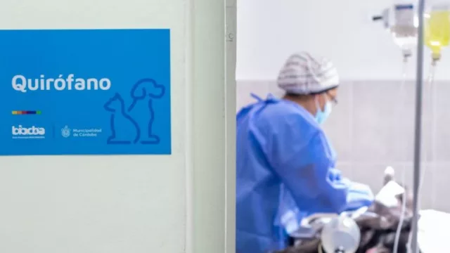 La Municipalidad de Córdoba otorgará turnos especiales de castración para perros Potencialmente Peligrosos