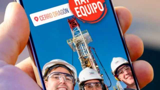 PAE busca incorporar jóvenes profesionales (atención recién graduados)