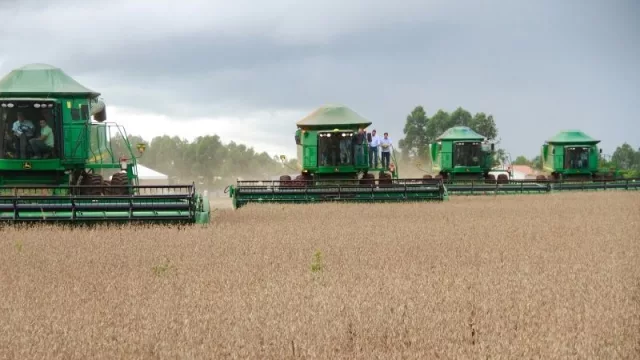 Sector primario cierra noviembre liderando exportaciones con 27,4% de aumento interanual