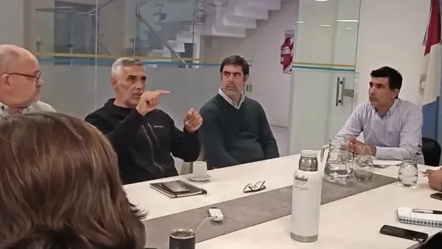 La plaga de la chicharrita en análisis: se creó un comité técnico “de achaparramiento del maíz” (en Córdoba)