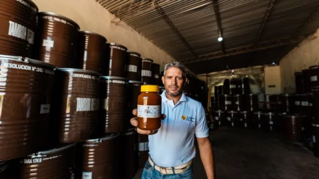 Cooperativa Apícola y Agropecuaria de Villa del Soto: la miel como recurso de crecimiento comunitario