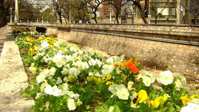 Resultados de encuesta