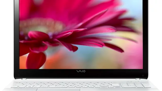 De la mano de IFSA (Positivo BGH), las notebooks Vaio vuelven "por lo suyo" (consumidor final y empresas)