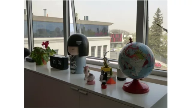 La agencia super colorida y llena de colores luce adornos de Gustó Tienda de Diseño otros de sus clientes