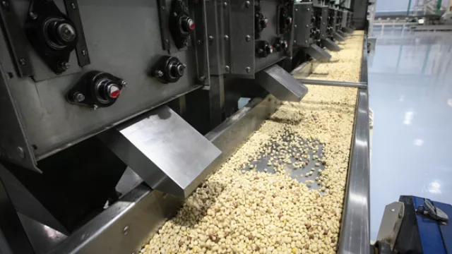 Un cuarto de la producción de maní del país está en manos de la empresa de la familia Urquía.