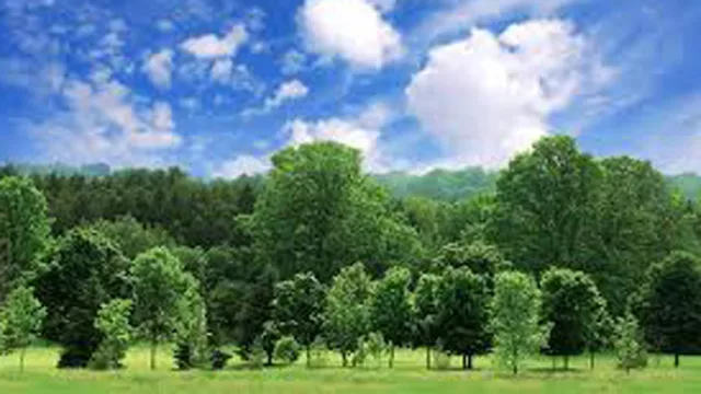 Acá llega la Primavera… ¿y qué pasa por el mundo?