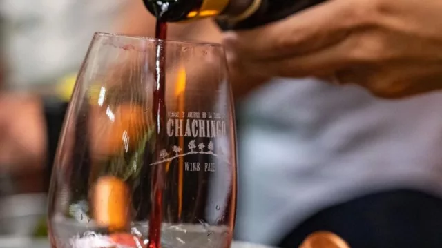 Córdoba, el lugar donde las bodegas se quieren mostrar: llega Chachingo Wine Fair (por primera vez en el centro del país)