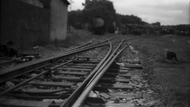 Un gigante chino busca invertir más de US$1.000 M en UPM