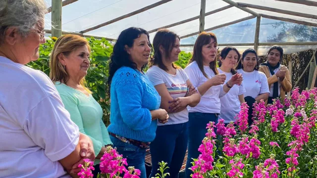Córdoba quiere hacer florecer una industria: la de las flores de corte (y saltar de 4 a 10 las plazas donde se producen)