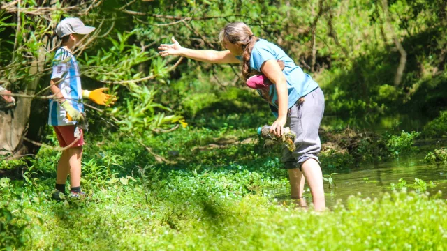 Sinsacate y su ocho acciones que demuestran su compromiso con el ambiente