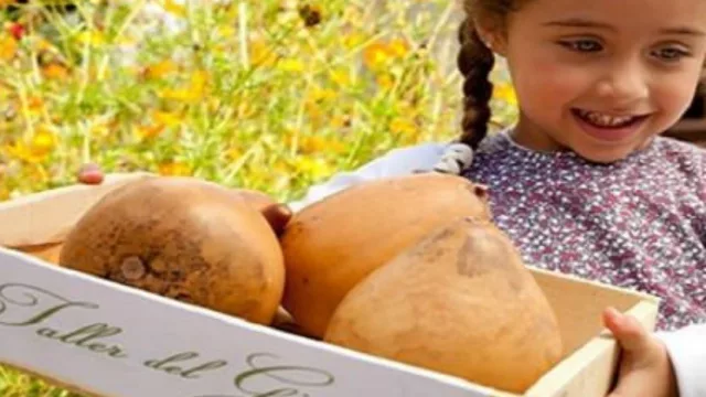 La franquicia del día: Taller del Girasol (diseños para niños) desde $ 450.000 + IVA