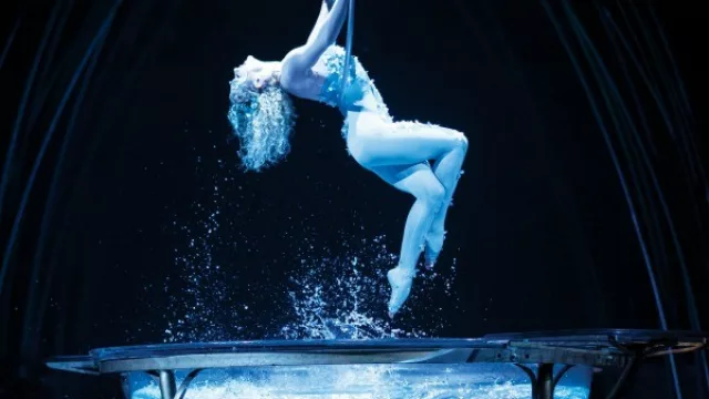 Cirque du Soleil vuelve a Córdoba por otros $ 45 millones con Amaluna (aún no definen dónde va la carpa)
