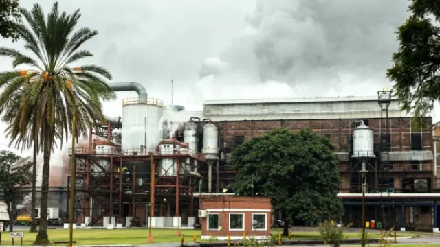 Tucumán: se paraliza la zafra en cuatro ingenios por falta de agua