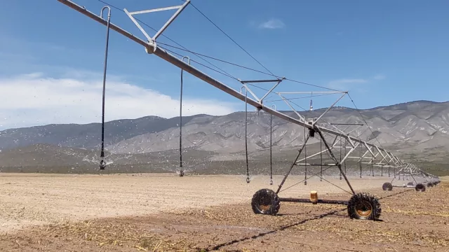 La cordobesa Kilimo (elegida por Microsoft, Intel y Coca-Cola) obtiene una inversión millonaria en dólares (ya lidera en Argentina, Chile y México)