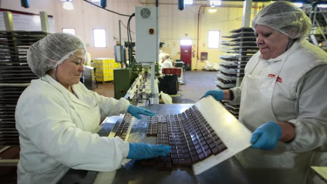 Dos empleadas desmoldan los bombones para introducirlos en la línea de empaquetado. 