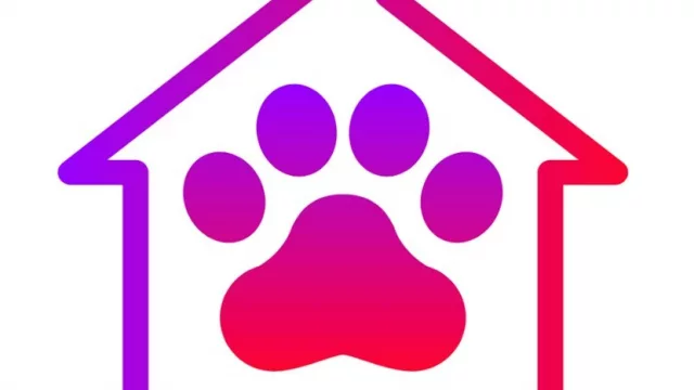 GuauSurfing recluta cuidadores (el airbnb para mascotas desde $ 100 y la comisión más baja del mercado)