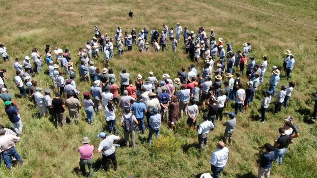 Llega “Regenera Latam”, la  Cumbre que reunirá a productores agropecuarios y empresas luchan contra la desertificación