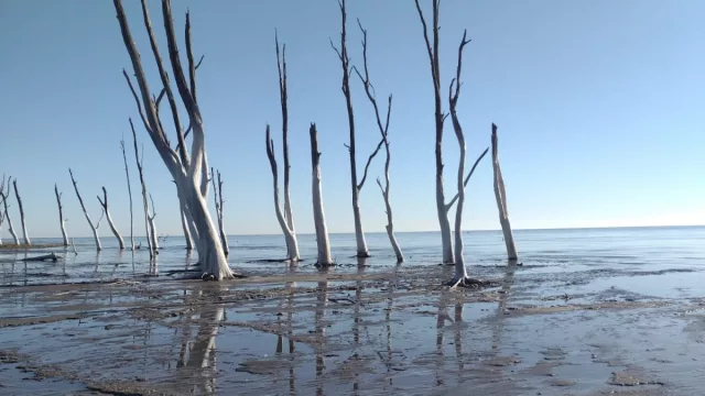 ¿Tenés planes para el domingo? Te invitamos a una actividad turística, libre y ¡gratuita!