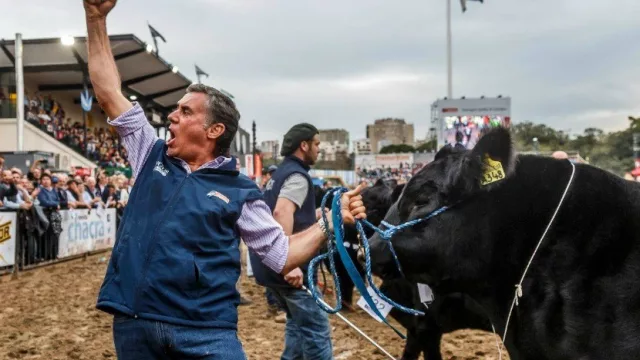 La Rural cosechó más de 1 millón de “likes” (1.048.320 personas visitaron la muestra)