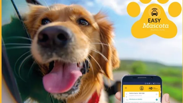Ya está habilitada en Córdoba la app de Easy Taxi para viajar con las mascotas 