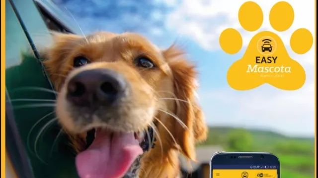 Easy Taxi también es pet friendly.