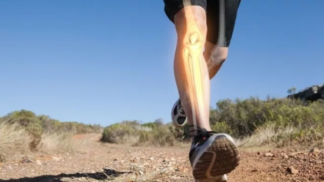 El ejercicio no solo aumenta los músculos: también los huesos (impacto mejor que natación)