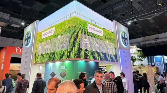 Bayer destaca en Aapresid 2024: Innovación, Digitalización y el Potencial del Maíz, en el centro de la Agricultura Regenerativa