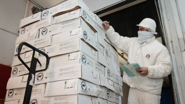 Un operario prepara un despacho con carne para el mercado exterior. 