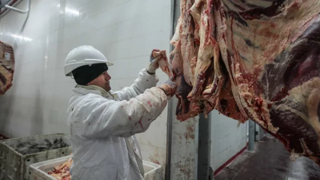 Los cortes son realizados a mano después que se realiza el despellejado, el destripado y el corte de la res por la mitad.